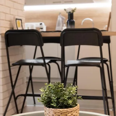 Center Designer Apartment